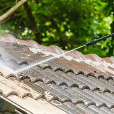 Travaux de nettoyage démoussage et hydrofuge de toiture 